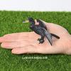 Kiwi Bird Jungle Animals Figures Peacock Phoenix Mallard Turkey Toucan Action Figure Toy Animal Figurines Toys for Kids Gifts