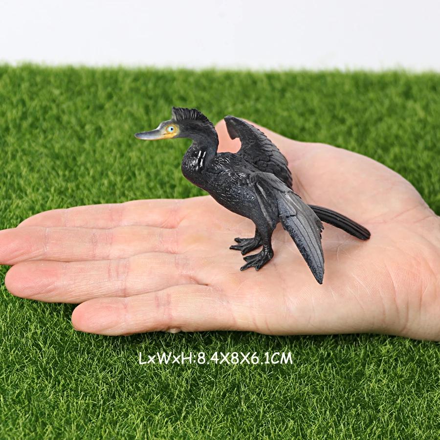 Kiwi Bird Jungle Animals Figures Peacock Phoenix Mallard Turkey Toucan Action Figure Toy Animal Figurines Toys for Kids Gifts