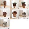 Piña Natural Decoración Navideña Colgante Adorno Festivo Duradero Para Decoración Navideña Interior y Exterior