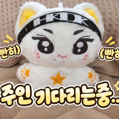 ENHYPEN Garden Doll for Sale