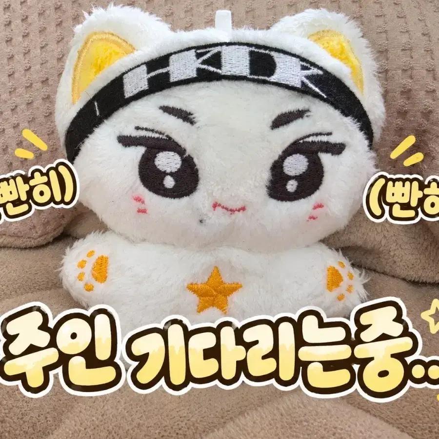 ENHYPEN Garden Doll for Sale