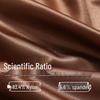 Men's Ice Silk Antibacterial Cooling Briefs