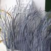 Struisvogelveer Franje - Diverse Kleuren, 10-15cm, 1 Meter voor Kledingaccessoires