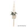 Hand-Woven Macrame Cotton Plant Hanger