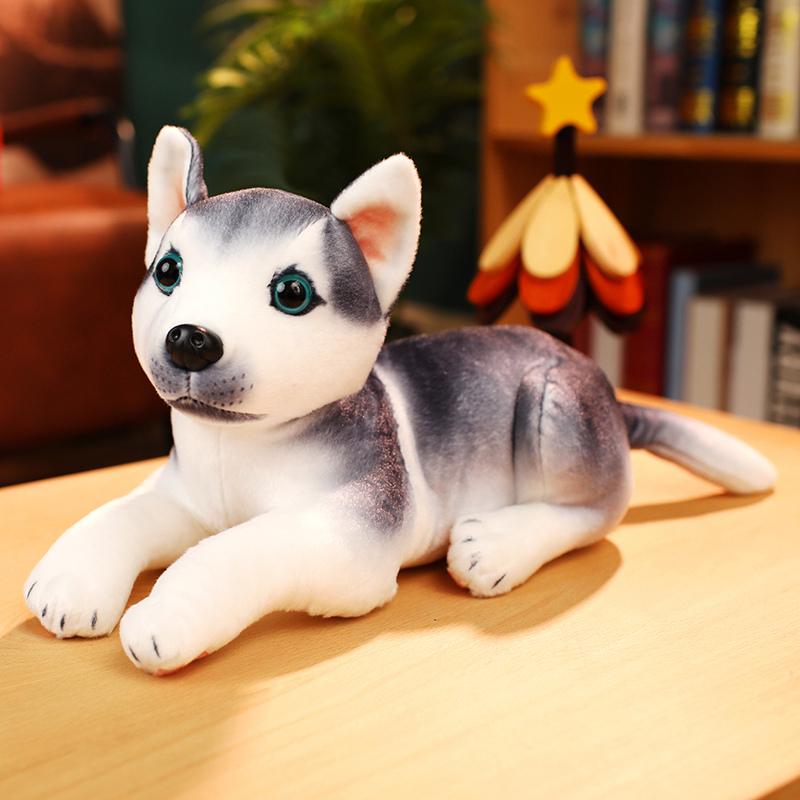 30cm Realistic Pet Dog Plush Toys Husky Dalmatian Beagle Stuffed Animal Dolls Graduation Season Gift Cute Companion Decor