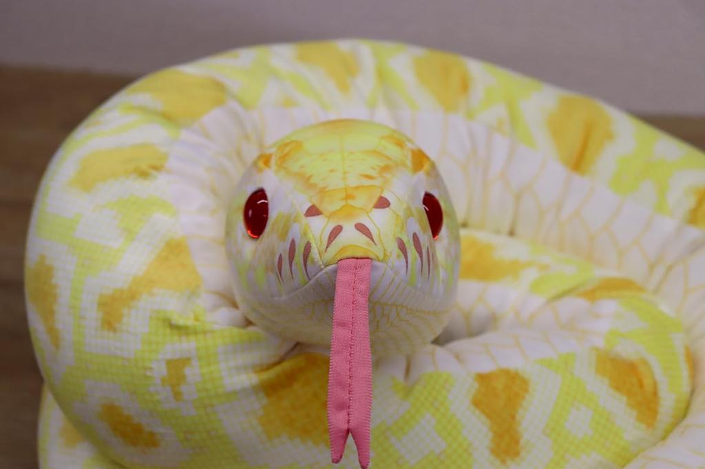 Take Off Python Albino L