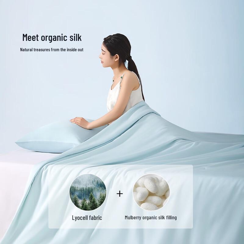 Mercury Home Textiles Tussah Silk Lyocell Summer Quilt