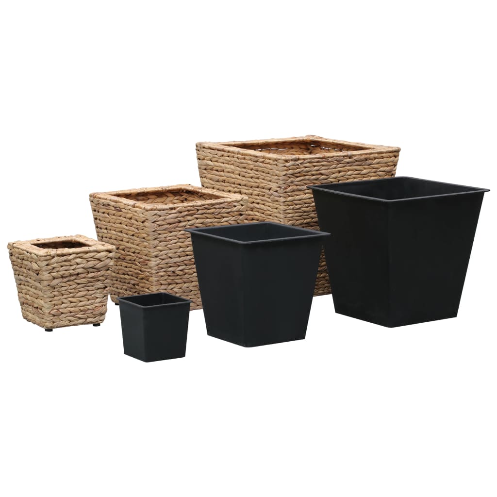 vidaXL Blumenkübel 3 Stk. Wasserhyazinthe