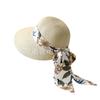 Big Brim Internet Celebrity Beach Vacation Beach Sun Hat Women's Summer Sun Protection Fashion Woven Sun Hat French Straw Hat