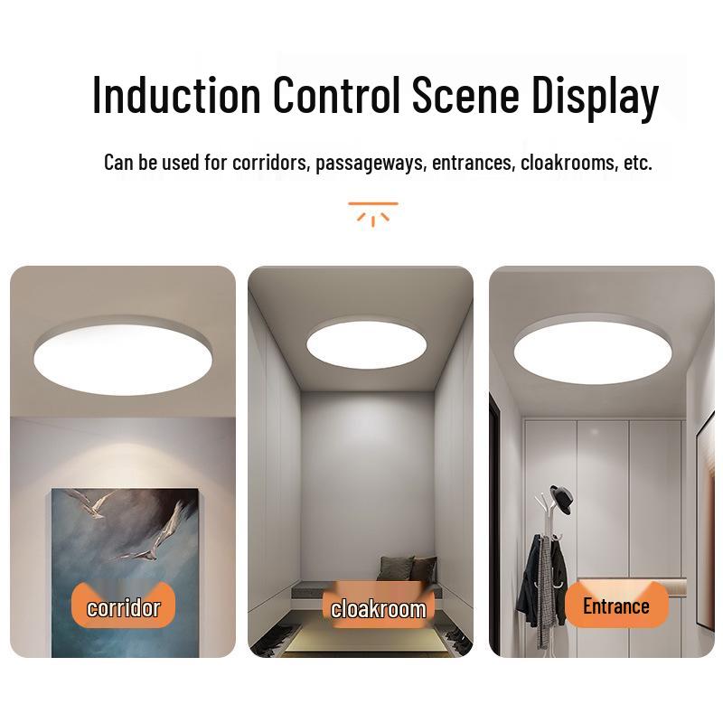 Smart Infrared Radar Sensor Ceiling Light for Stairways, Hallways, and Corridors with Voice Control