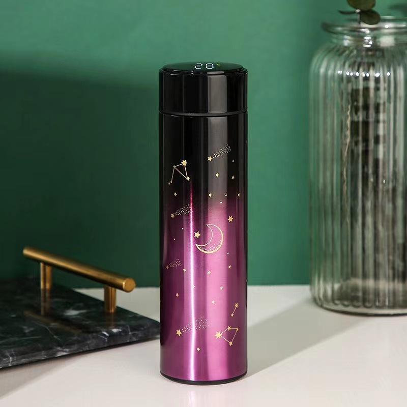 Smart Thermal Bottle Display Temperature Thermal Mug Stainless Steel Food Thermos For Tea Water Bottle With Heating Fashion Cup