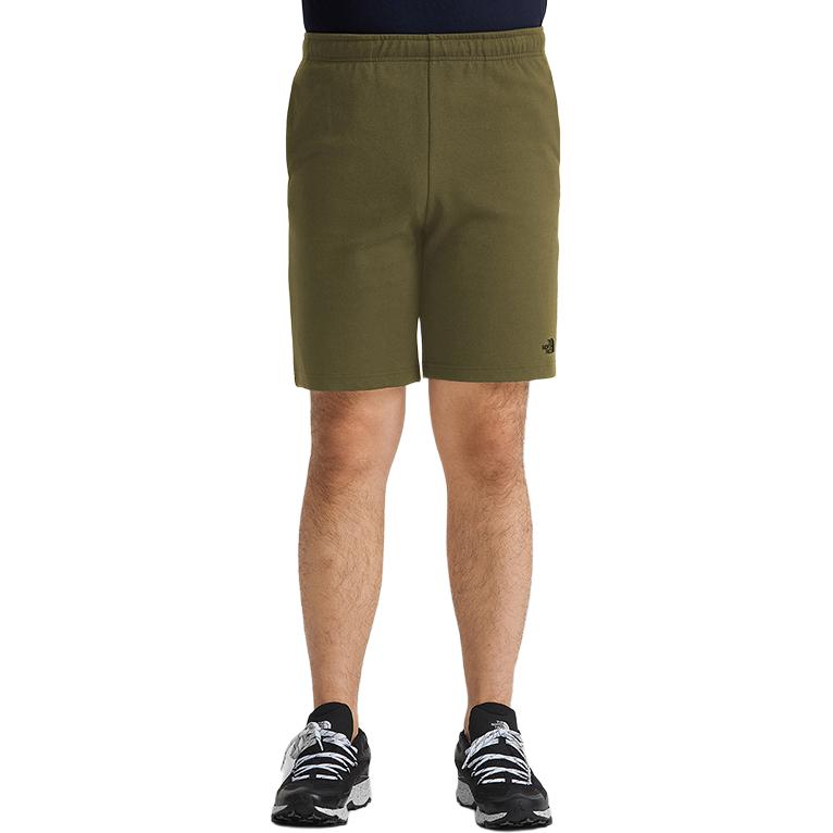 The North Face Casual Shorts Men's Green Moderate NF0A7QUF-7D6