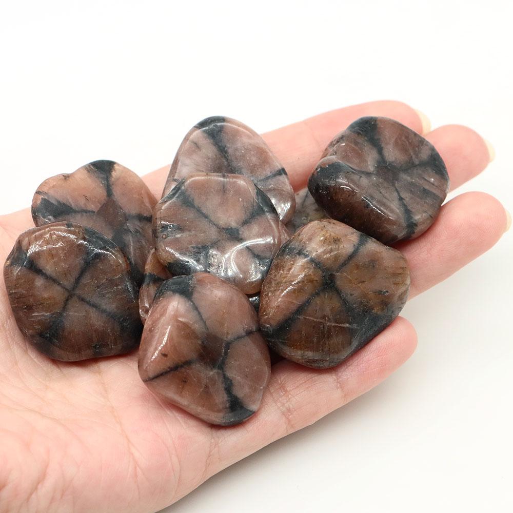 Natural Tumbled Stones Bulk Polished Rocks Gemstones Assorted Healing Crystals for Home Garden Tank Aquarium Decoration