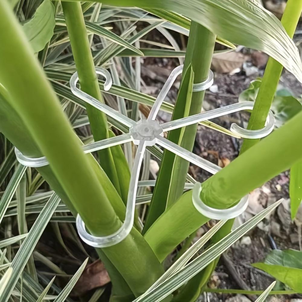 Clipsuri Suport Plante Pachet 4- Cleme Durabile pentru Tulpini pentru Plante Agățătoare din Plastic- Material Plastic
