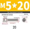 304 Stainless Steel Lead Seal Galvanized Meter Screw with Cross Hole