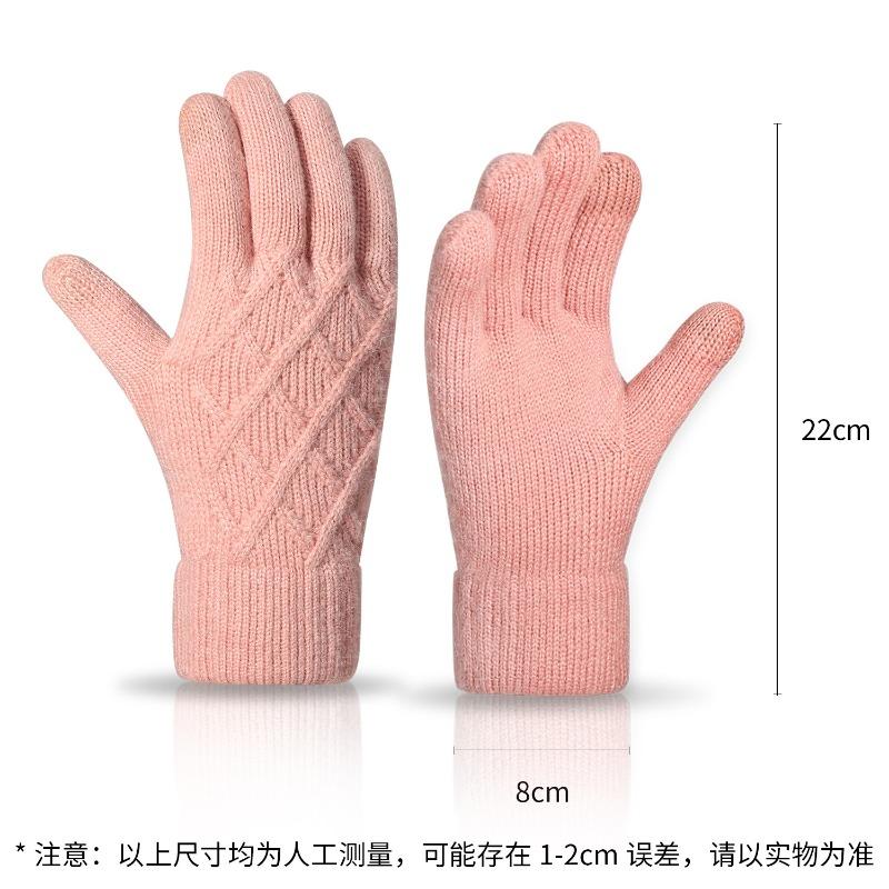 Women's Autumn and Winter Knitted Gloves Double-layer Velvet Thickened Thermal Gloves Simple Jacquard Touch Screen Gloves