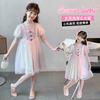 Pink princess dress, girls' summer new style gradient rainbow western-style birthday dress, children's dress, baby dress