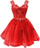 Shiny Tulle Prom Dress Teen Dress 1D Butterfly Short Dress Homecoming Dress Graduation Dress