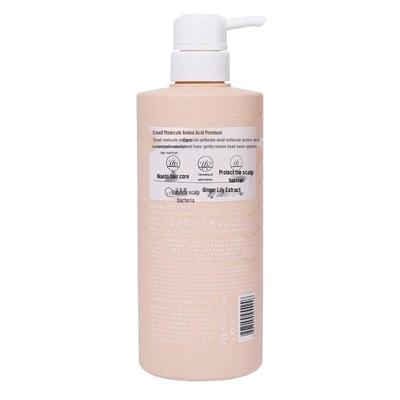 POTE Ginger Strengthening Shampoo