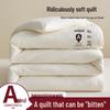 Thickened Soybean Fiber Quilt: All-Season Warm Cotton Bedding for Students