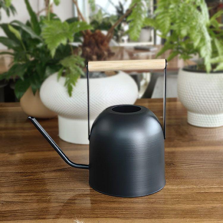 Leide Zhuzhu Wrought Iron Long Spout Watering Can for Flowers and Succulents
