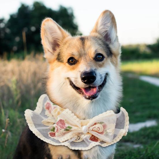Pet Collar Bib Embroidery Flower Lace Bandana Lovely Dress Up Cat Dog Bow Neckerchief Saliva Towel Pet Accessories