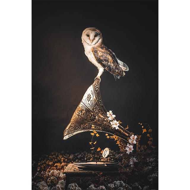 Obraz sztuki nowoczesnej Sowa Skandynawska Motyl Zwierzę Plakat Druk na płótnie Dekoracja salonu obrazy na ścianę