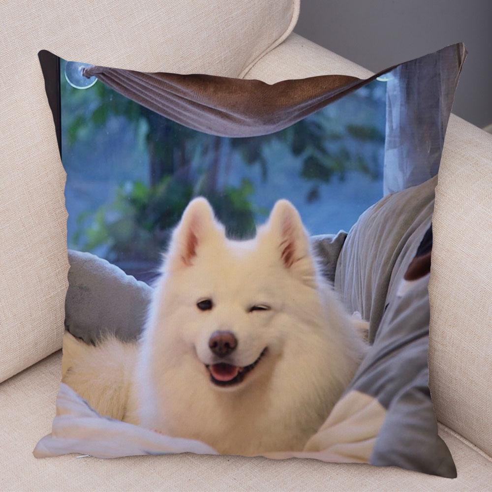 50 Stil Husă de Pernă Câine Alb Drăguț Samoyed Decor Husă de Pernă Animal de Companie Iubitor Husă de Pernă Moale de Pluș pentru Canapé Cameră Copii