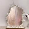 Ins Style Camellia Irregular DIY Mirror