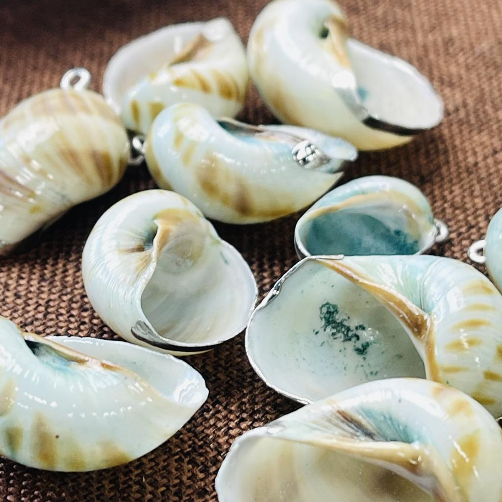 10Pcs, Natural Whelks Shell Zinc Alloy Silvery Edge Pendant Charms for DIY Necklace Accessories, Creative Jewelry Making, Women Men Bulk Crafts Gifts