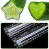 1pc Cucumber Shaping Mold Five Pointed Star Shape Heart-shaped Garden Vegetable Growth Forming Mould Kitchen Cooking Tools Drop