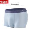 Hengyuanxiang Men's Plus Size Ice Silk Antibacterial Boxer Briefs (3-Pack)