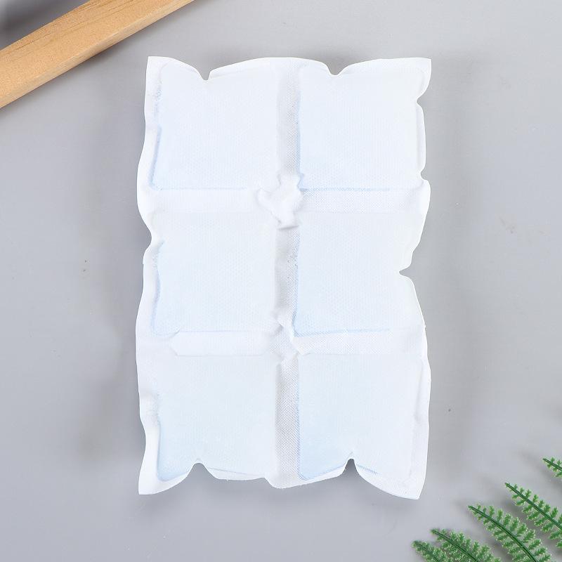 Self-Absorbing Compartment Ice Pack: No Water Needed, Express Delivery, Ideal for Fresh Food, Disposable