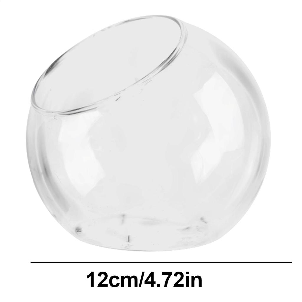 Planter Terrariums Glass Round Terrarium Fish Bowl Plant Flowerpot Vase Air Plant Container Glass Home Display Centerpiece