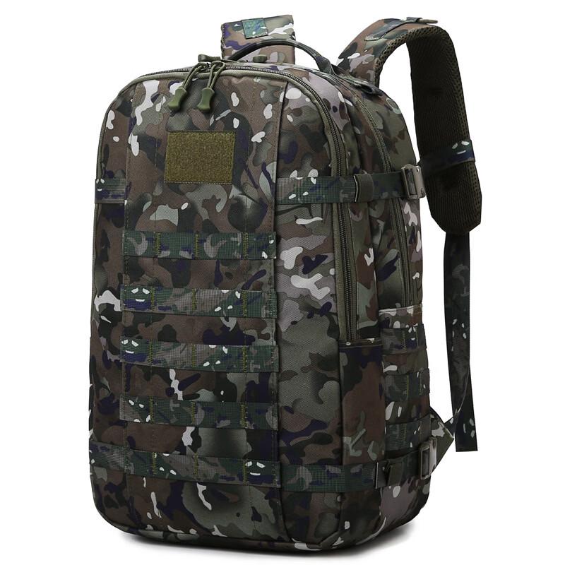Li Shen Hiking & Travel Backpack