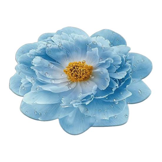 

Коврик для пола Двустороннее нескользящее основание Мягкий флок Имитация кашемира Коврик для двери Дизайн 3D Подсолнух Кухонный абсорбирующий коврик 60cm I