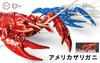 Free Research Series 24 Living Creatures Edition American Crayfish Plastic Model No. EX-4 (Clear Red)