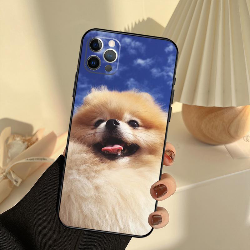Pomeranian Dogs Dog Colorful Phone Case For iPhone 13 16 15 11 12 14 17 Pro Max 12 mini 15 16 Plus 16e 17 Air Cover Funda