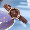 Gedi Korean Petite Brown Women's Luxury Diamond-Set Quartz Watch