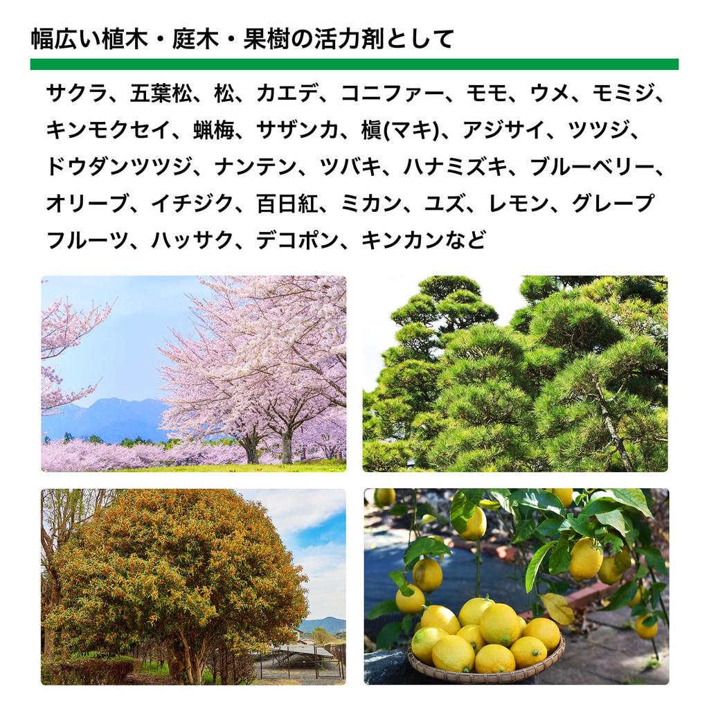 CLEAN HOUSE Green Pile Small, Nail-Shaped, Hammer-In Fertilizer, Mini Size, 7-Pack, Garden Supplies for Plants, Trees, and Garden Trees