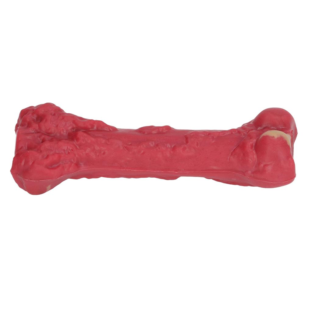 Dog Chew Toy Puppy Teething Bone Rubber Teether Squeaky Comfortable Chewing for Pet Chewer
