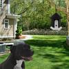 Outdoor Durable Waterproof Ultrasonic Outdoor Bark Control System for Pet Dog Anti-Bark Training 4