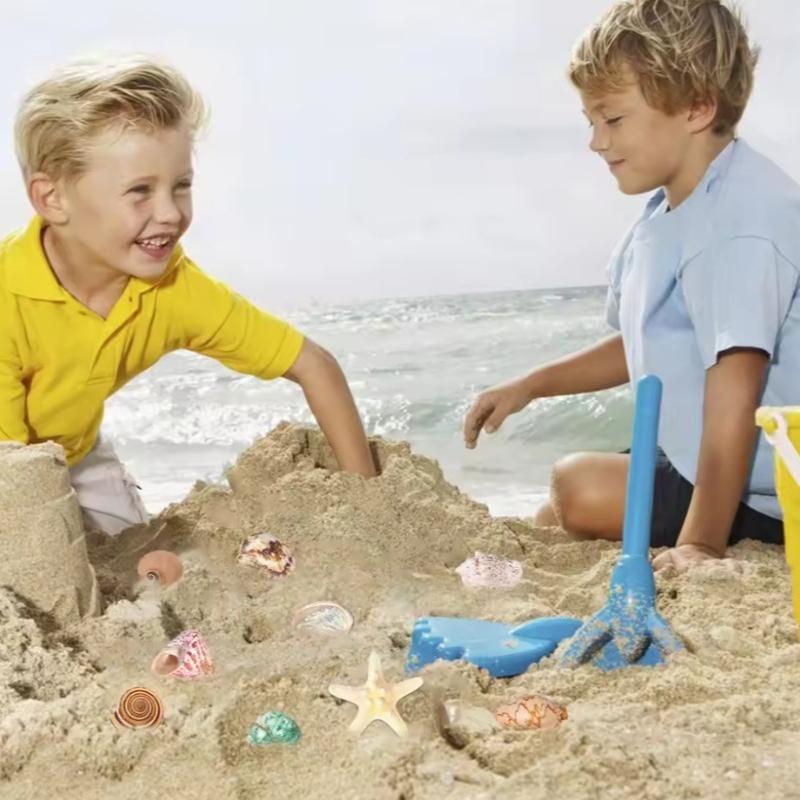 2025 Seashells Advent Calendar,24 Days of Christmas Countdown Toys Learning Collection Seashells Model for Kids Adults