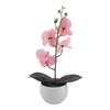 Fake Bonsai Butterfly Orchid Bathroom Decor Butterfly Orchid Bonsai Decoration Pampas Realistic Appearance Low Maintenance