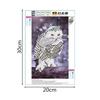 Snow White Owl DIY 5D Rhinestones Diamond Painting