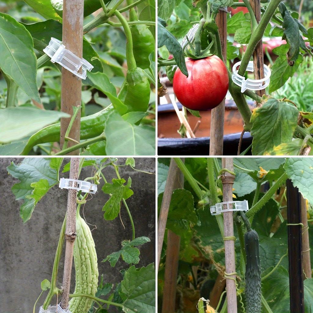 Plastic Plant Support Clips,Plastic Clips for Securing Plants,Tomato Vine Clips,Plant Fixing Clips,Garden Clips for Climbing