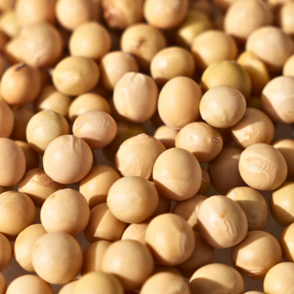 Nesh Soy Biome Protein Repair Treatment 250ml x 2