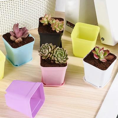 Snoepkleur Mini Bekken Vierkante Bloempot Succulent Plantenbakken DIY Verplant Bloempot Plantenbakken Kweekpot Home Kantoordecor