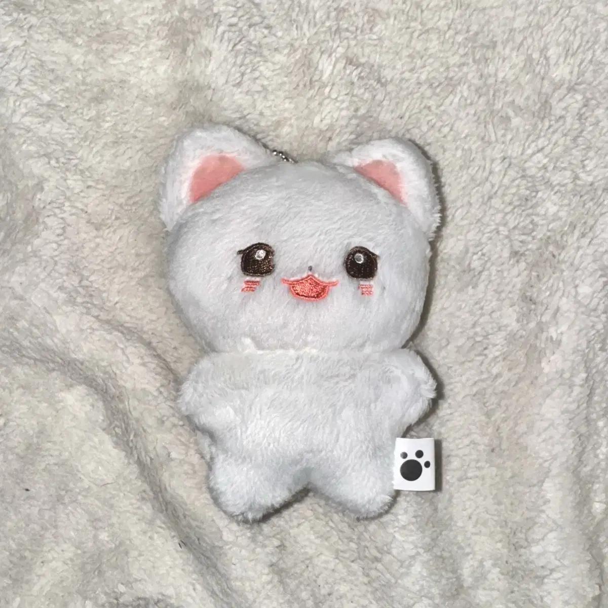 

ZEROBASEONE Zerobaseone Сок Мэтью Сомэтьюс