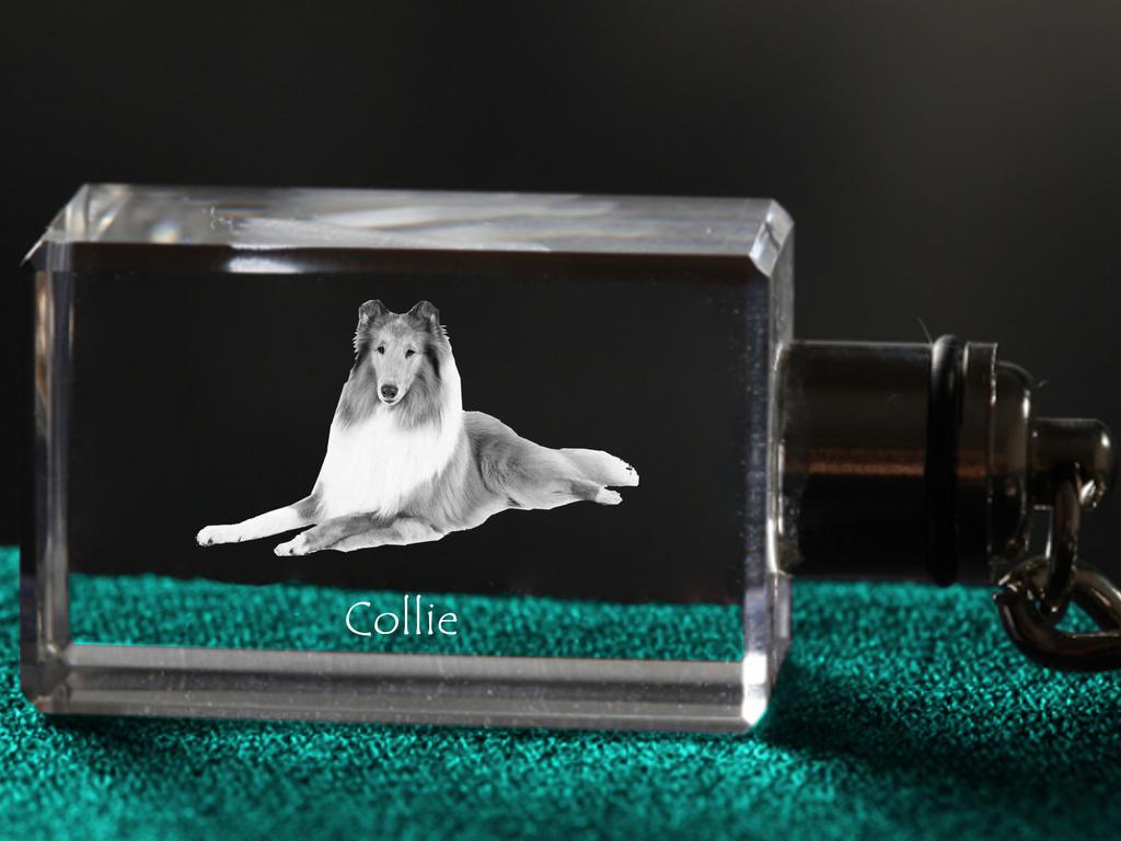 Collie Rough, Collie a pelo lungo - Portachiavi in cristallo con foto del cane, portachiavi illuminato, regalo unico del marchio Art-Dog